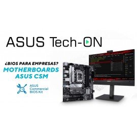 CSM - Corporate Stable Model Series (0)